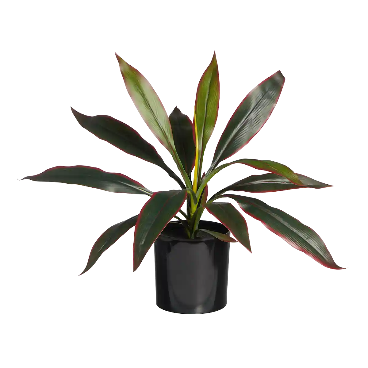 Künstliche Cordyline - Monti | 40 cm