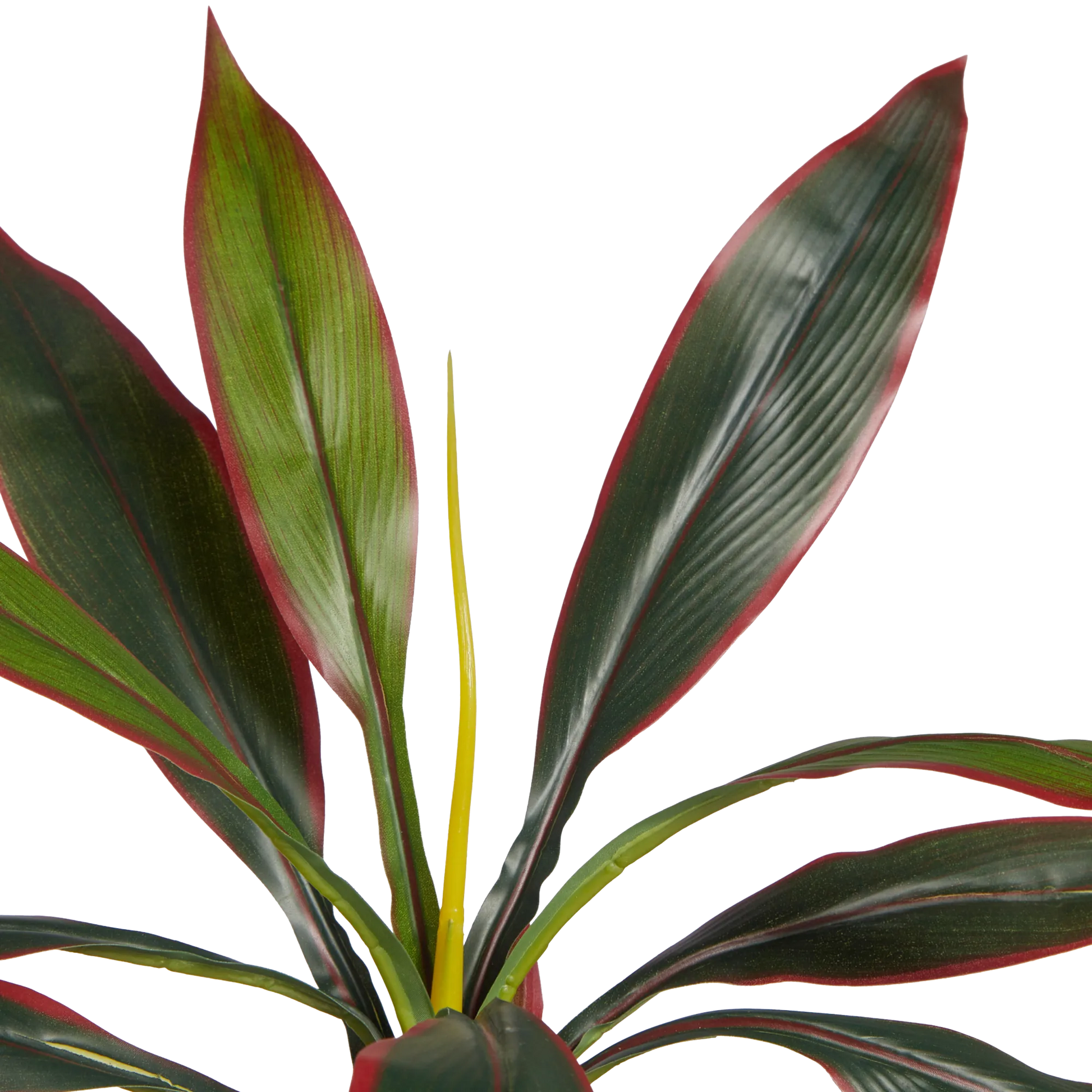 Künstliche Cordyline - Monti | 40 cm
