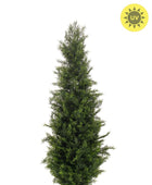 Cedro verde artificial - Nathalie | 120 cm