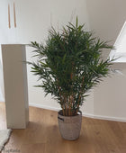 Künstlicher Bambus in Wohnzimmer - hochwertig