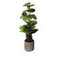 Filodendro artificial - Phoebe | 80 cm