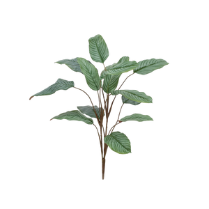 Künstliche Calathea - Pius | 112 cm