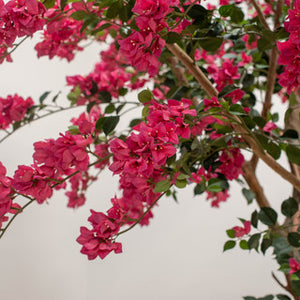 Künstliche Bougainvillea - Edgar, 270 cm, Kunstpflanze von aplanta, feuerhemmend, in Rot, für drinnen