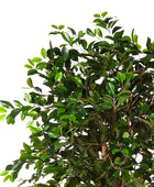 Ficus chinês artificial - Konstantin | 180 cm