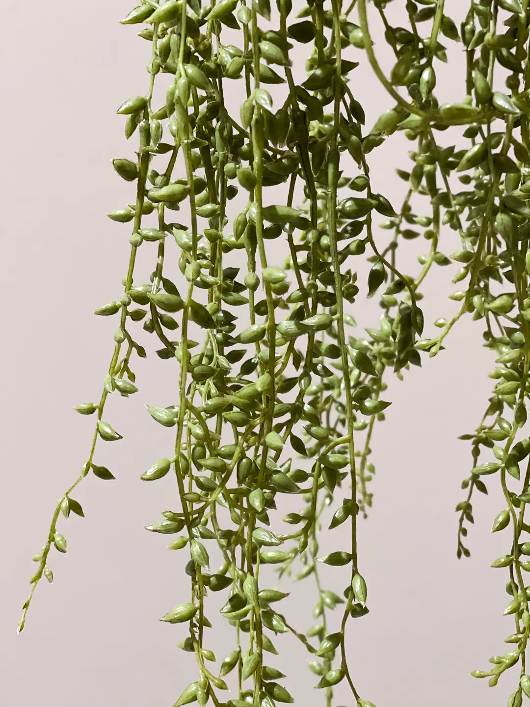 Künstliche Erbsenpflanze - Karina | 70 cm | Kunstpflanze von aplanta