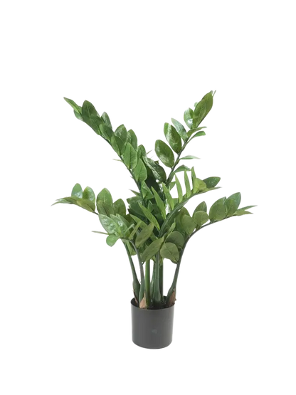 Künstliche Zamioculcas - Elena, 70 cm, Kunstpflanze von aplanta, im schwarzen Topf, in Natur, für drinnen