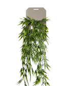 Künstlicher Hänge-Bambus - Natalie auf transparentem Hintergrund mit echt wirkenden Kunstblättern. Diese Kunstpflanze gehört zur Gattung/Familie der 