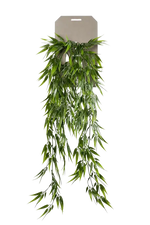 Künstlicher Hänge-Bambus - Natalie auf transparentem Hintergrund mit echt wirkenden Kunstblättern. Diese Kunstpflanze gehört zur Gattung/Familie der "Bambuse" bzw. "Kunst-Bambuse".
