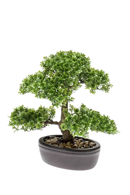 Künstlicher Ficus Bonsai - Yui, 32 cm, Kunstpflanze von aplanta, inkl. Dekotopf, in Natur, für drinnen