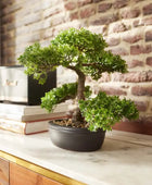 Ficus Bonsai Artificial - Yui | 32 cm