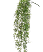 Künstlicher Hänge-Farn - Katharina auf transparentem Hintergrund mit echt wirkenden Kunstblättern. Diese Kunstpflanze gehört zur Gattung/Familie der 