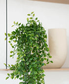Ficus artificial trepadeira suspensa - Keno | 80 cm