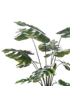 Künstliche Monstera - Karl | 98 cm auf transparentem Hintergrund, als Ausschnitt fotografiert, damit die Details der Kunstpflanze bzw. des Kunstbaums noch deutlicher zu erkennen sind.