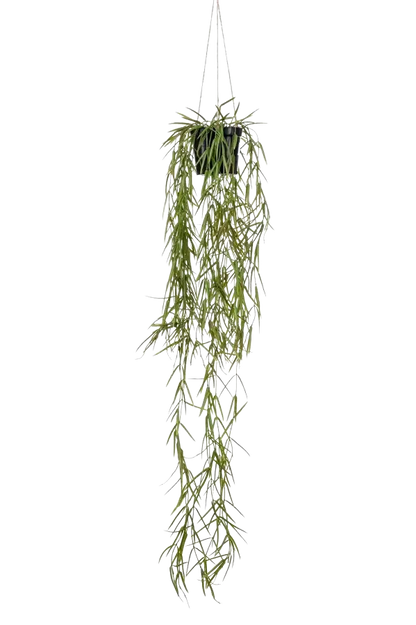 Künstliche Hänge-Hoya - Kurt, 80 cm, Kunstpflanze von aplanta, in Grün, für drinnen