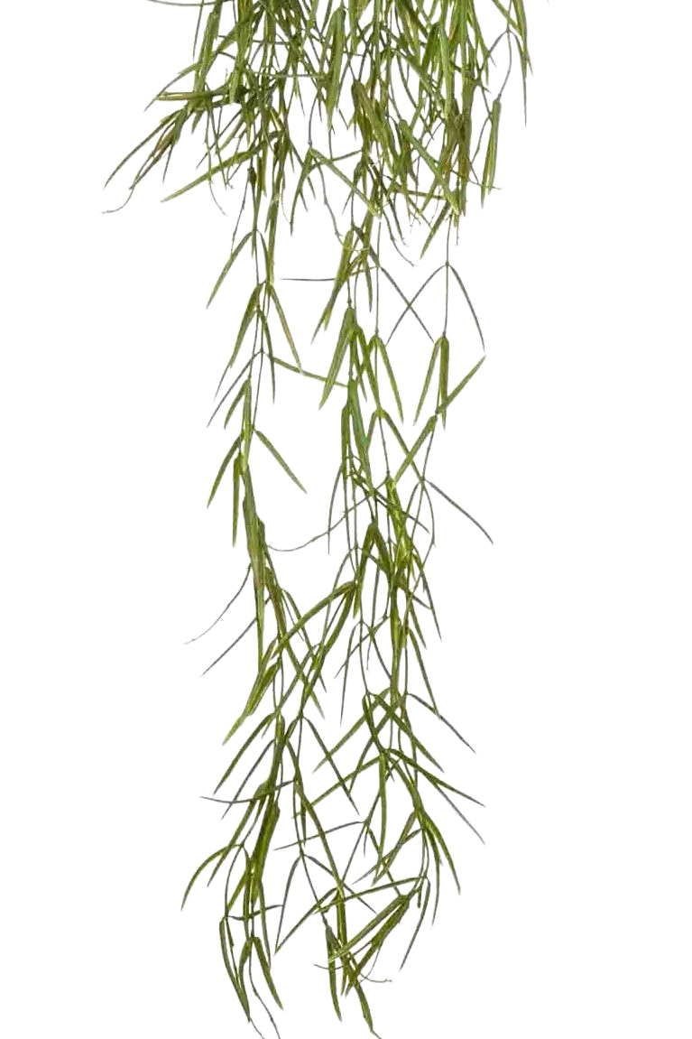 Künstliche Hänge-Hoya - Kurt, 80 cm, Kunstpflanze von aplanta, in Grün, für drinnen
