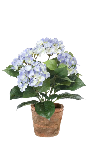 Hochwertige Kunstpflanze | Künstliche Hortensie - Sylvia | 37 cm von 🌱aplanta