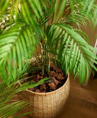 Palmeira artificial da montanha - Nadine | 120 cm