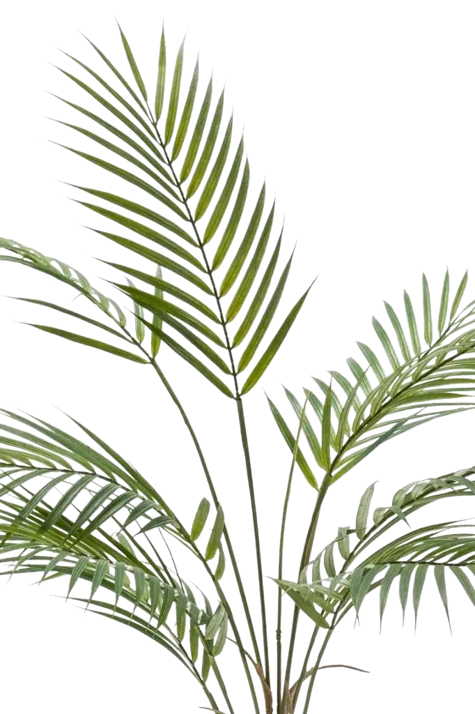 Künstliche Bergpalme - Nadine | 128 cm auf transparentem Hintergrund, als Ausschnitt fotografiert, damit die Details der Kunstpflanze bzw. des Kunstbaums noch deutlicher zu erkennen sind.