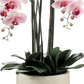 Künstliche Orchidee - Leo | 100 cm auf transparentem Hintergrund, als Ausschnitt fotografiert, damit die Details der Kunstpflanze bzw. des Kunstbaums noch deutlicher zu erkennen sind.