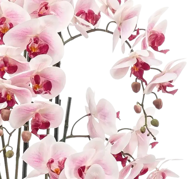 Künstliche Orchidee - Leo | 100 cm auf transparentem Hintergrund, als Ausschnitt fotografiert, damit die Details der Kunstpflanze bzw. des Kunstbaums noch deutlicher zu erkennen sind.