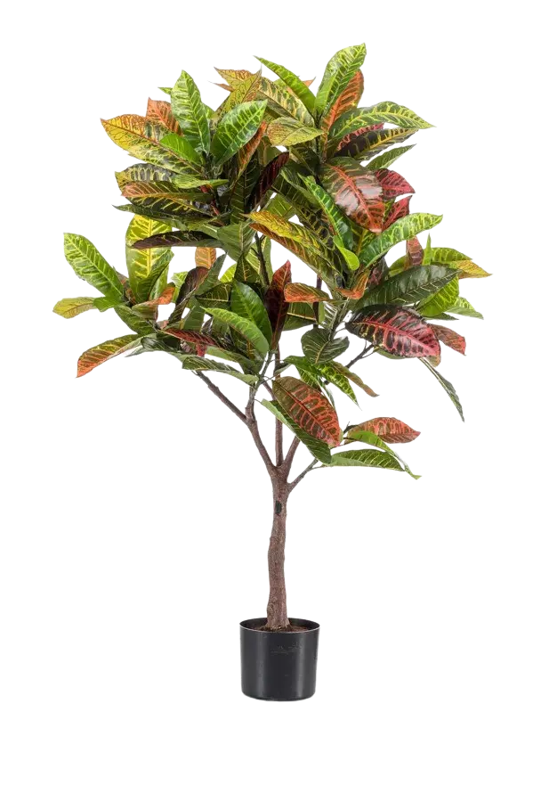 Künstlicher Croton - Julie auf transparentem Hintergrund mit echt wirkenden Kunstblättern. Diese Kunstpflanze gehört zur Gattung/Familie der "Gräser" bzw. "Kunst-Gräser".