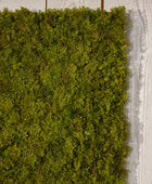 Tapete de musgo artificial da Islândia - Natalie | 50x50 cm