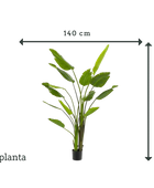 Strelitzia artificial - Colin | 180 cm