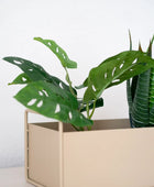 Arbusto artificial monstera - Lotte | 30 cm