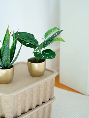 Arbusto artificial monstera - Lotte | 30 cm