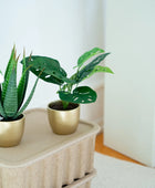 Arbusto artificial monstera - Lotte | 30 cm