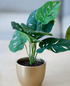 Arbusto artificial monstera - Lotte | 30 cm