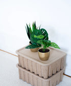 Arbusto artificial monstera - Lotte | 30 cm