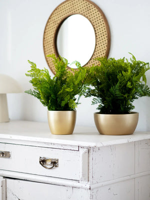 Samambaia artificial - Gustav | 40 cm