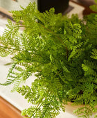 Samambaia artificial - Gustav | 40 cm