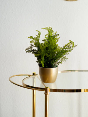 Samambaia artificial - Marcel | 40 cm