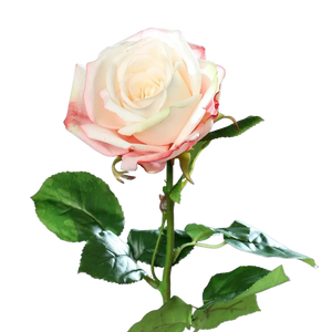 Rosa artificial - Xénia | 66 cm