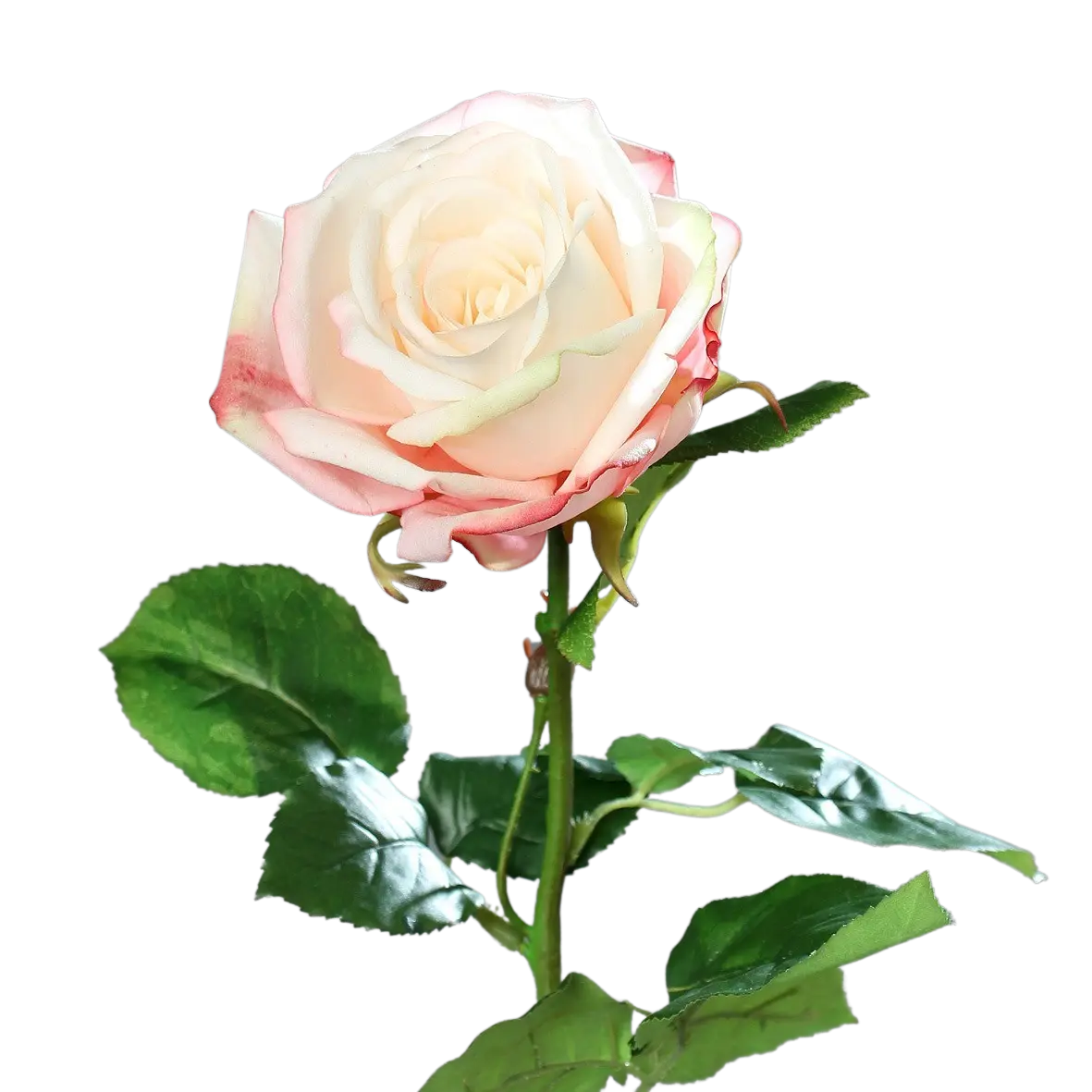 Rosa artificial - Xénia | 66 cm