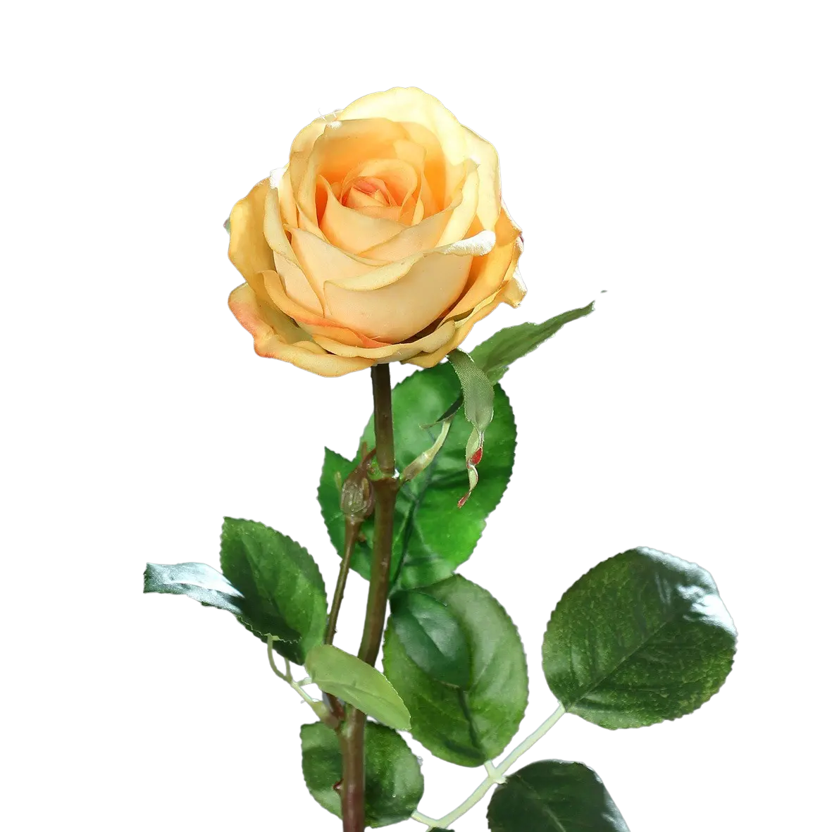 Rosa artificial - Platão | 66 cm