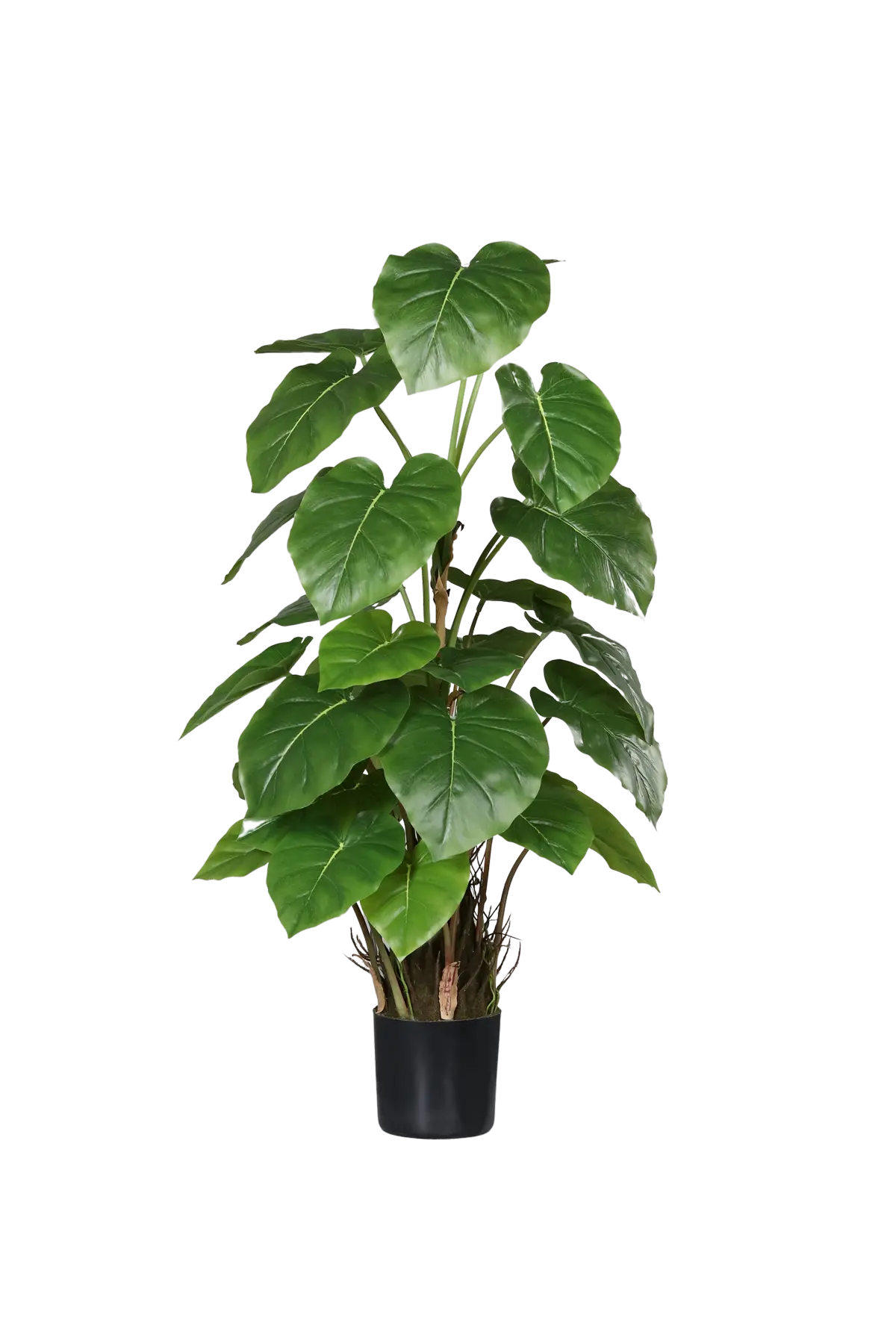 Künstliche Philodendron - Phoebe, 80 cm, Kunstpflanze von aplanta, im schwarzen Topf, in Natur, für drinnen