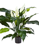 Künstliche Spathiphyllum - Big-Luna auf transparentem Hintergrund mit echt wirkenden Kunstblättern. Diese Kunstpflanze gehört zur Gattung/Familie der 