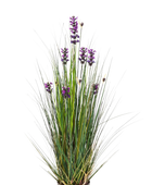 Künstlicher Lavendel - Emilie auf transparentem Hintergrund mit echt wirkenden Kunstblättern in natürlicher Anordnung. Künstlicher Lavendel - Emilie hat die Farbe Natur und ist 90 cm hoch. | aplanta Kunstpflanzen