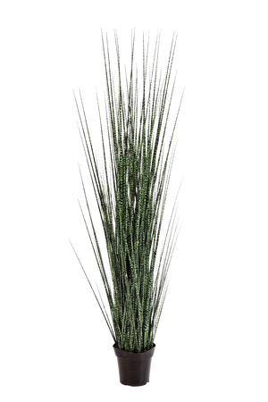 Relva artificial - Zebra | 120 cm