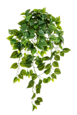Künstliche Hänge-Monstera - Barbara, 85 cm, Kunstpflanze von aplanta, Steckpflanze, in Natur, für drinnen