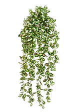 Künstliche Hänge-Hoya - Florentine, 85 cm, Kunstpflanze von aplanta, in Natur, für drinnen
