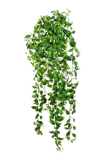 Hochwertige künstliche Hängepflanze auf transparentem Hintergrund mit echt wirkenden Kunstblättern in natürlicher Anordnung. Künstliche Hänge-Dreimasterblume - Fenja hat die Farbe Natur und ist 85 cm hoch. | aplanta Kunstpflanzen