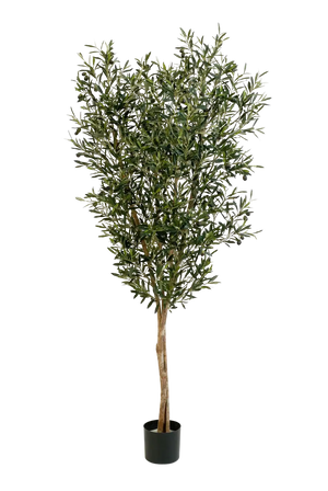 Künstliche Olivenbaum - Ilona, 120 cm, Kunstbaum von aplanta, in Natur, für drinnen