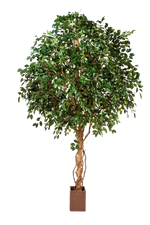 Künstlicher Ficus Baum - Nero, 360 cm, Kunstbaum von aplanta, mit Echtholzstamm, im schwarzen Topf, in Natur, für drinnen