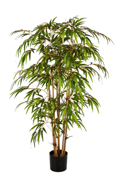 Hochwertiger Kunstbambus auf transparentem Hintergrund mit echt wirkenden Kunstblättern in natürlicher Anordnung. Künstlicher Bambus - Lasse hat die Farbe Natur und ist 150 cm hoch. | aplanta Kunstpflanzen