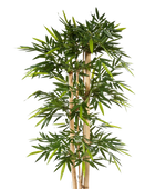 Hochwertiger Kunstbambus auf transparentem Hintergrund mit echt wirkenden Kunstblättern in natürlicher Anordnung. Künstlicher Bambus - Michael hat die Farbe Natur und ist 300 cm hoch. | aplanta Kunstpflanzen