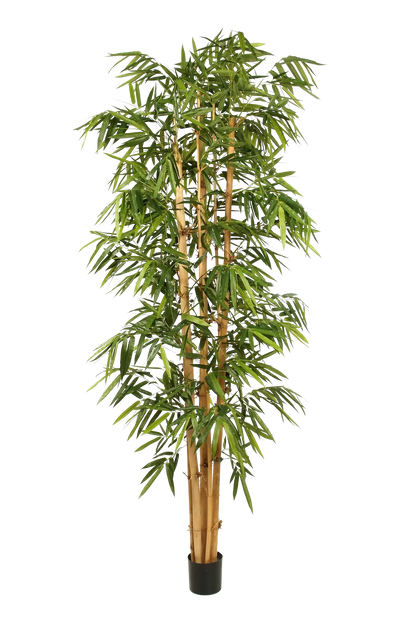 Künstlicher Bambus - Marlon, 300 cm, Kunstbaum von aplanta, mit Echtholzstamm, in Natur, für drinnen